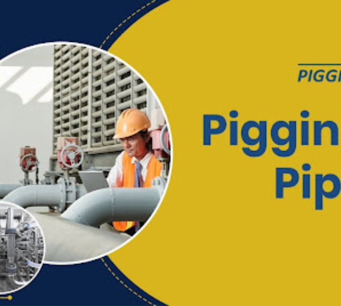 Pipeline Pigging