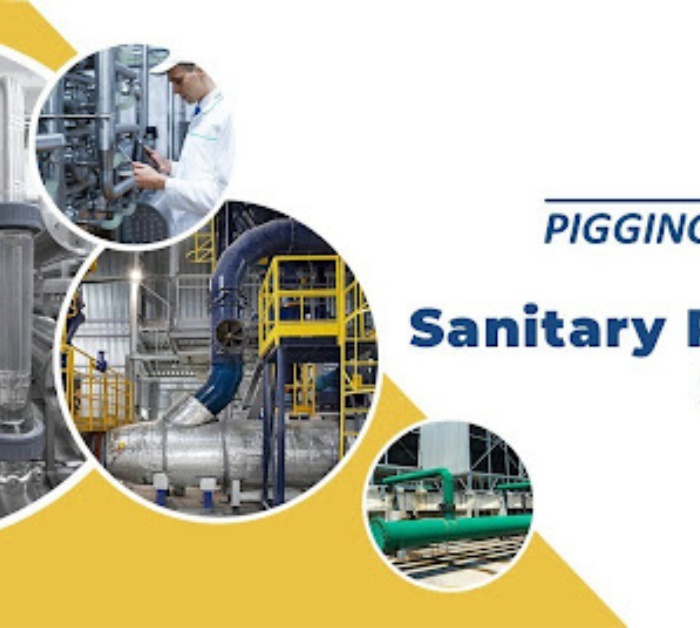 Sanitary pigging systems