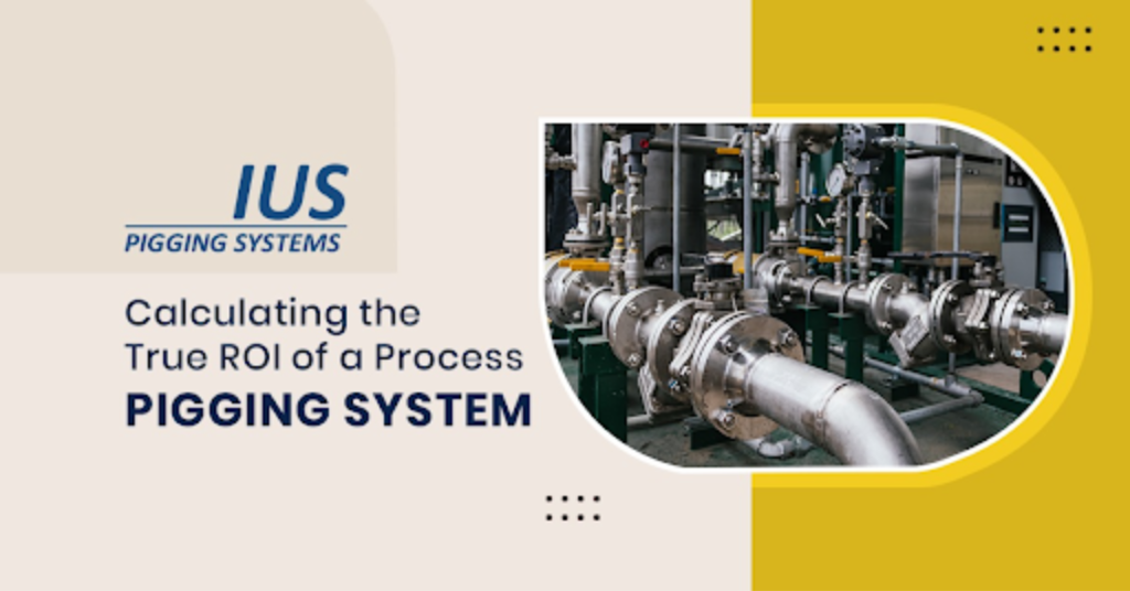 Process Pigging System
