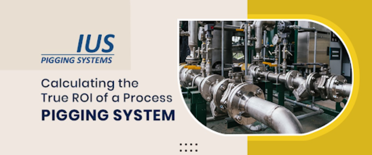 The CFO’s Guide to Capital Expenditure: Calculating the True ROI of a Process Pigging System