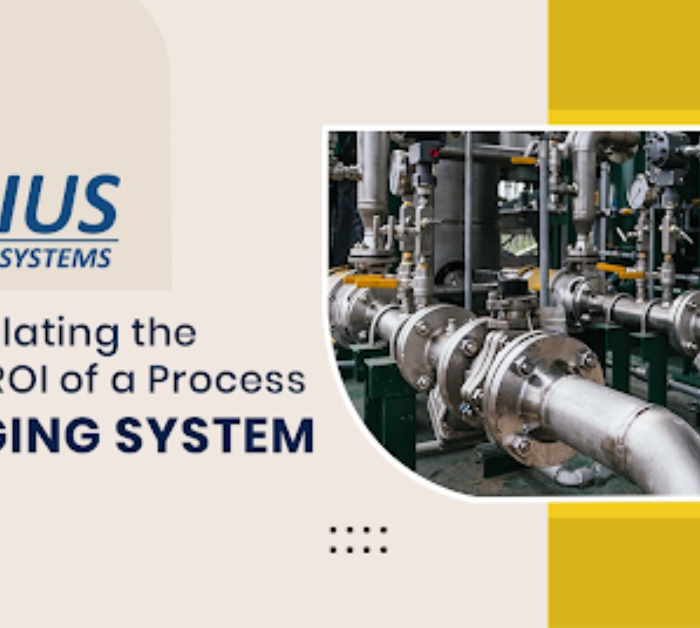 Process Pigging System